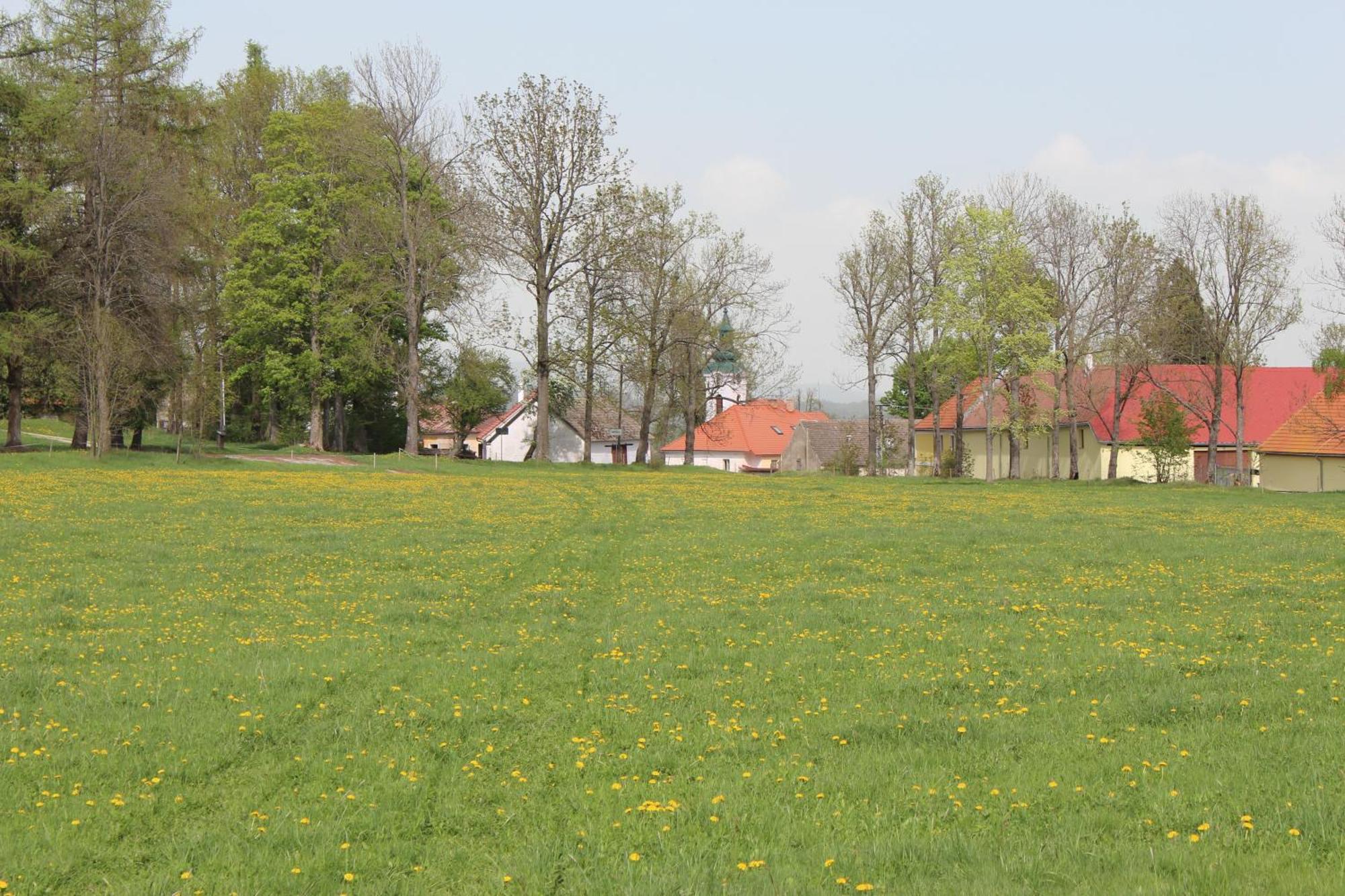 Ubytování Praschlhaus Horní Planá Exterior foto